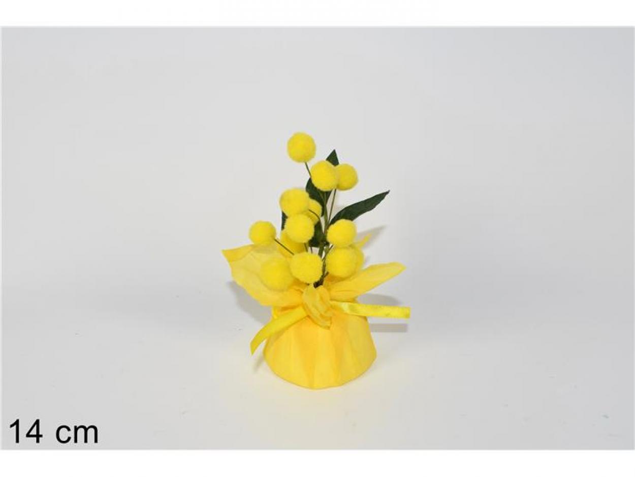PIANTINA MIMOSA 841910 40649
