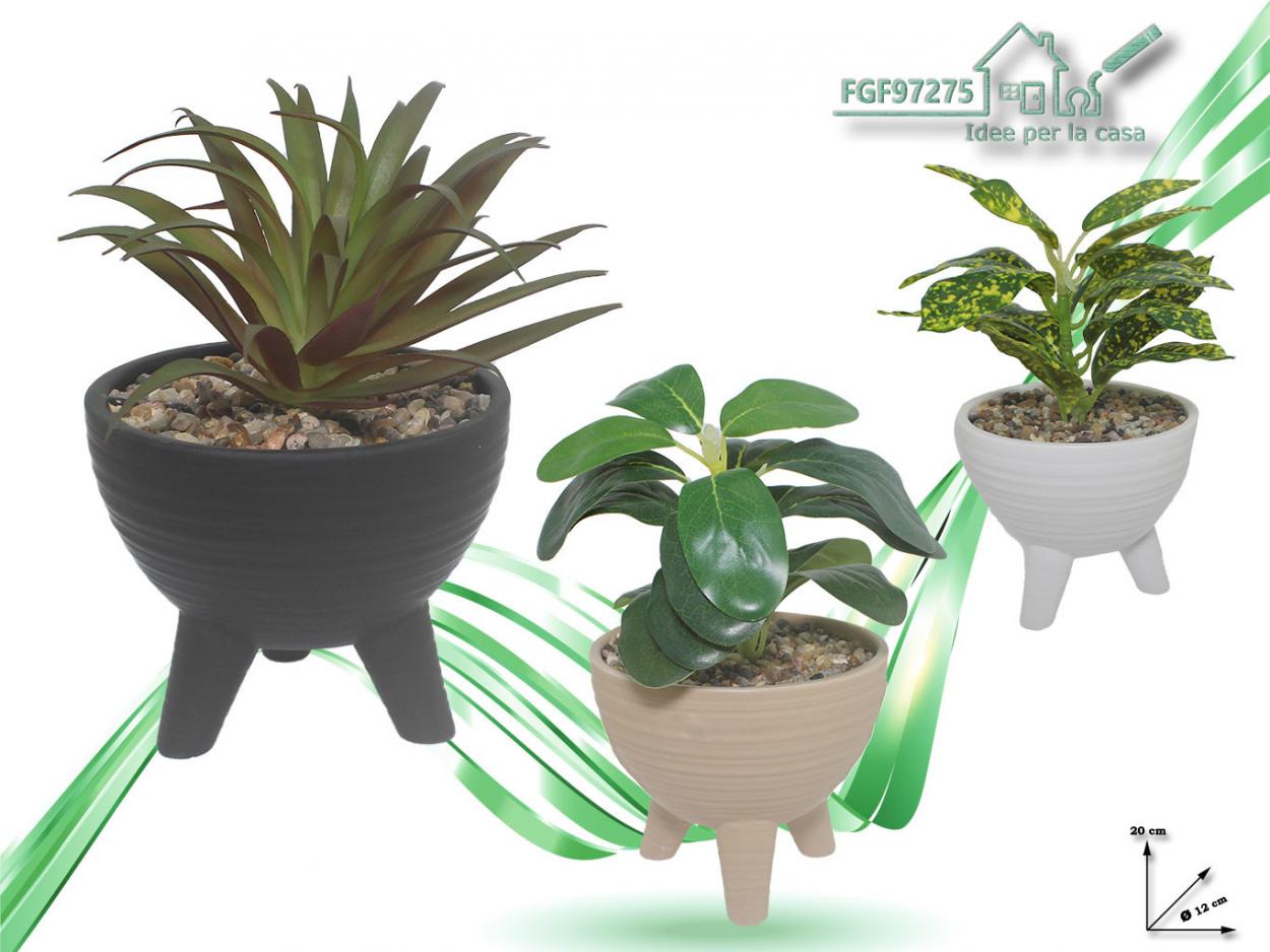 VASI PLASTICA cm 3,5 x H 4,5 x L 0,02 SEMINA PIANTINE CACTUS - 50 vasi