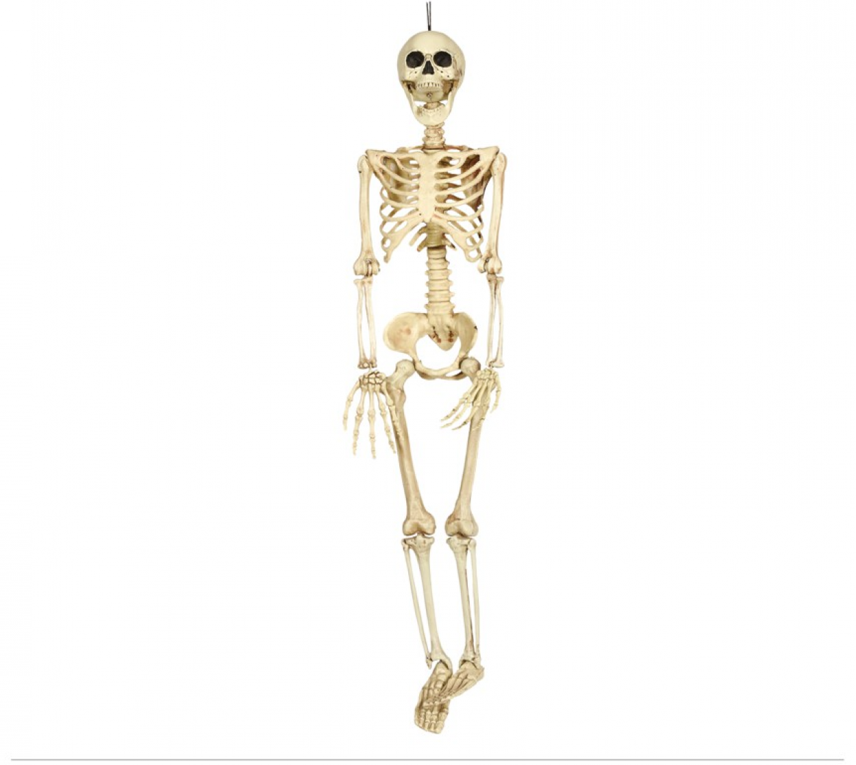 SCHELETRO 90cm 26043 52833