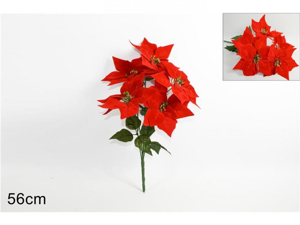 FIORE 5 STELI STELLA 560231 40649