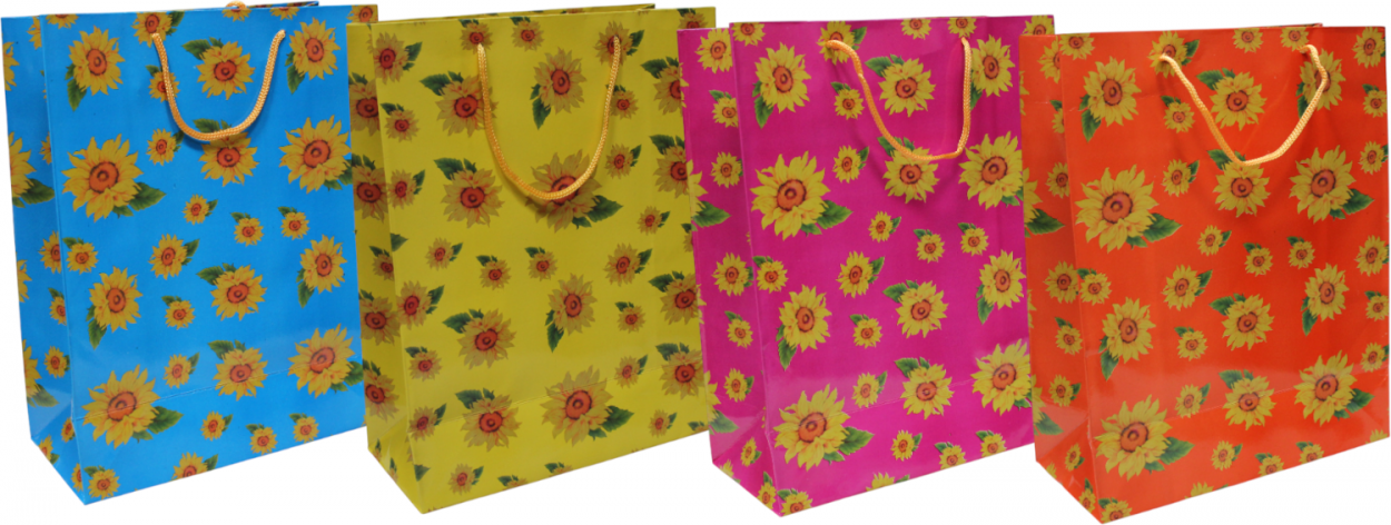 BUSTA MEDIA 516302 33x26cm 40619 (ASSORTIMENTO)
