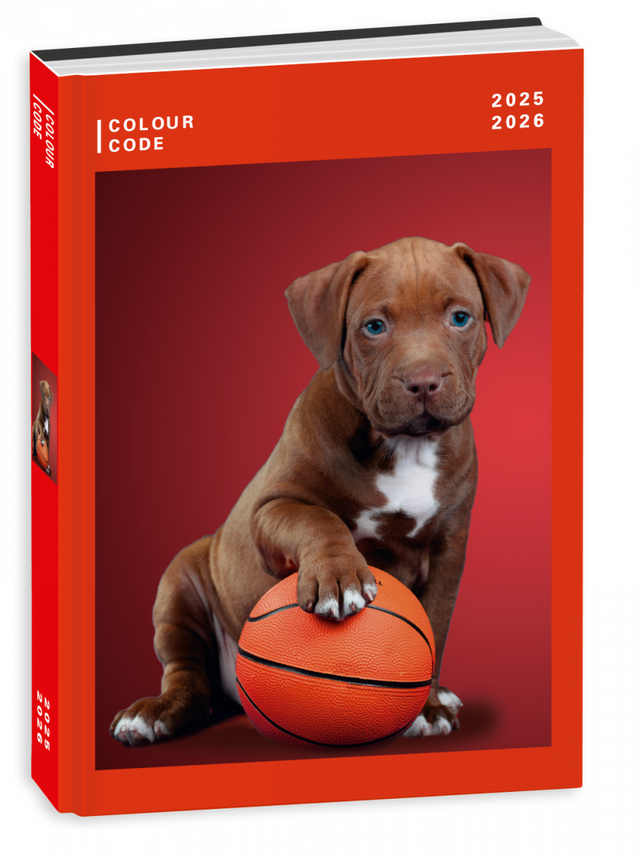 DIARIO AG.10M DATATO COLOUR CODE ANIMAL SNAPSHOT 50D802500 41434