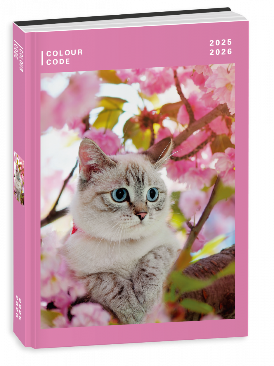 DIARIO AG.10M DATATO COLOUR CODE ANIMAL SNAPSHOT 50D802500 41434