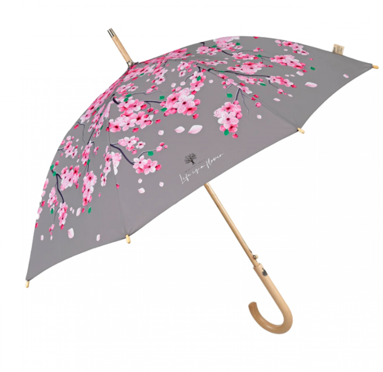 OMBRELLO DONNA 61/8 AUTOMATICO FIORE DI PESCO 19155 40035