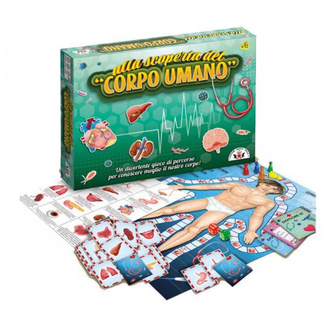 ALLA SCOPERTA DEL CORPO UMANO 137 40635