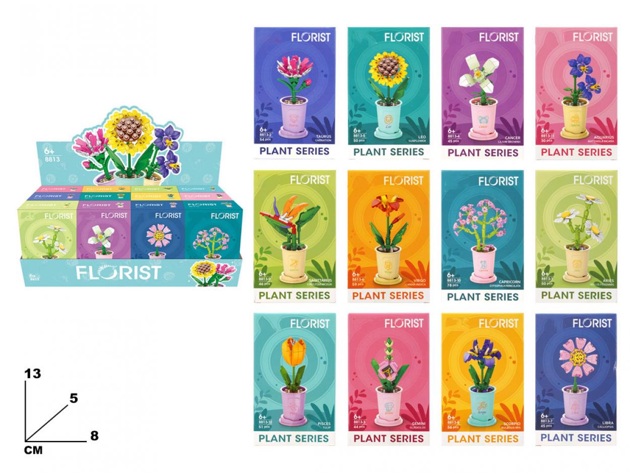 DB COSTRUZIONI PIANTINE 169988 41272