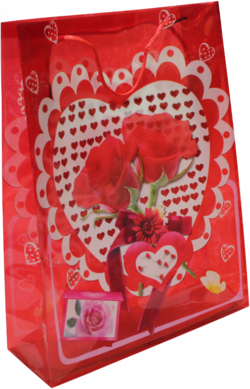 BUSTA PLASTICA YS004 JUMBO 34x26cm 40563