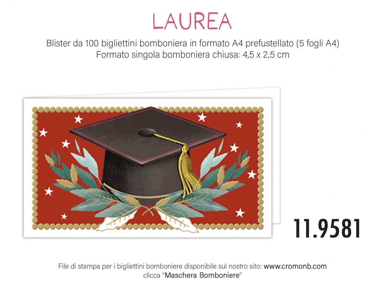 CONFEZIONE DA 100 BOMBONIERE LAUREA 119581 40631
