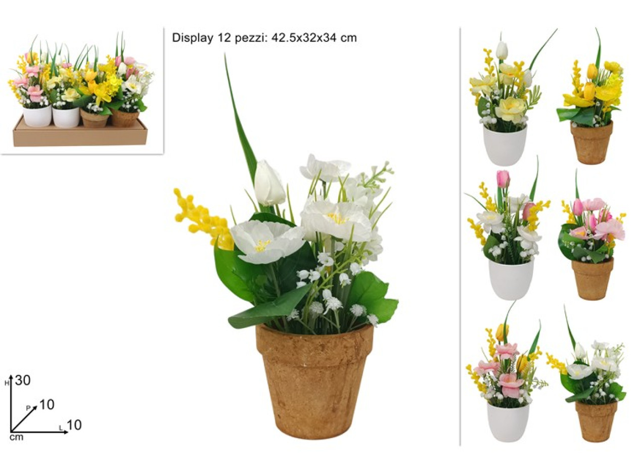 PIANTINA FIORI CON MIMOSA 690802 40649