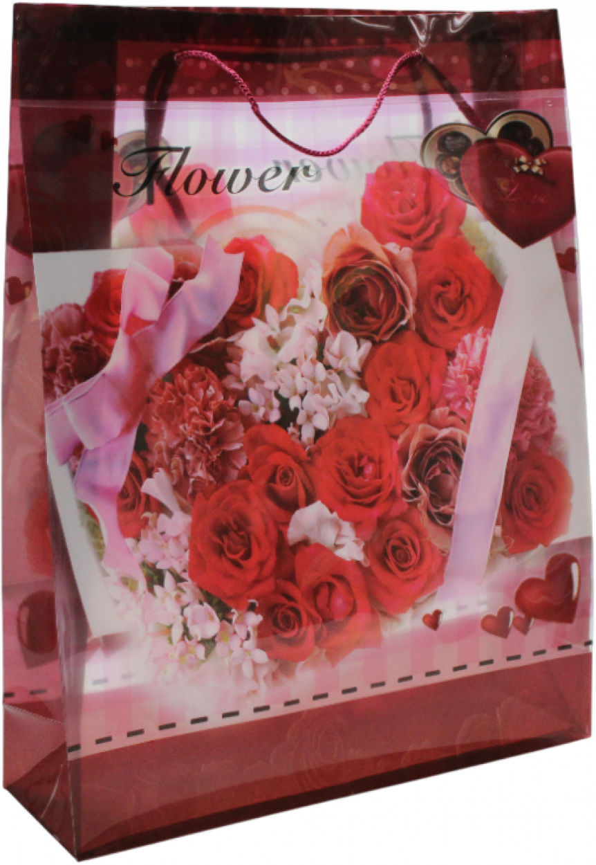 BUSTA PLASTICA YS004 LARGE 30x23cm 40563