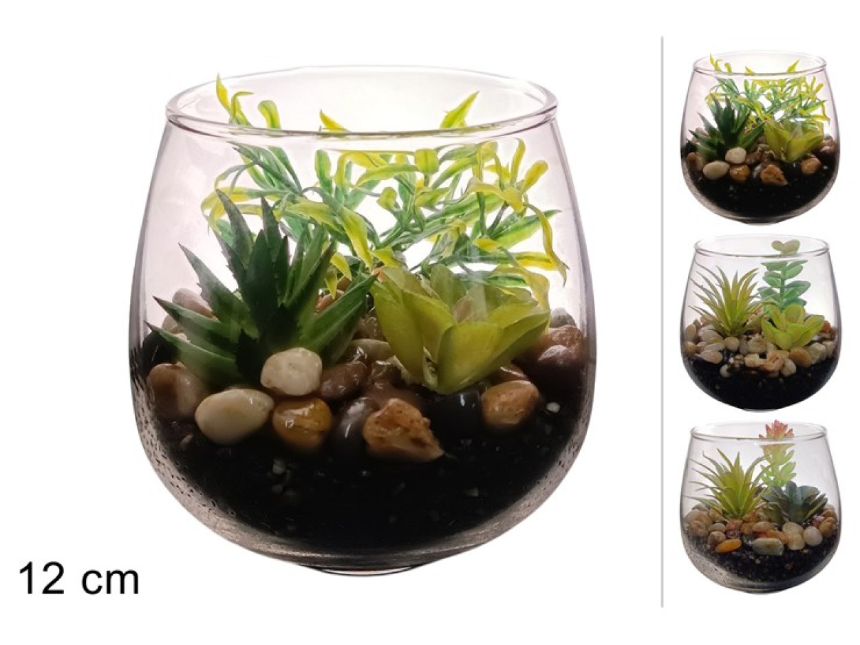 PIANTA GRASSA CON VASO VETRO 12x12cm 689332 40649