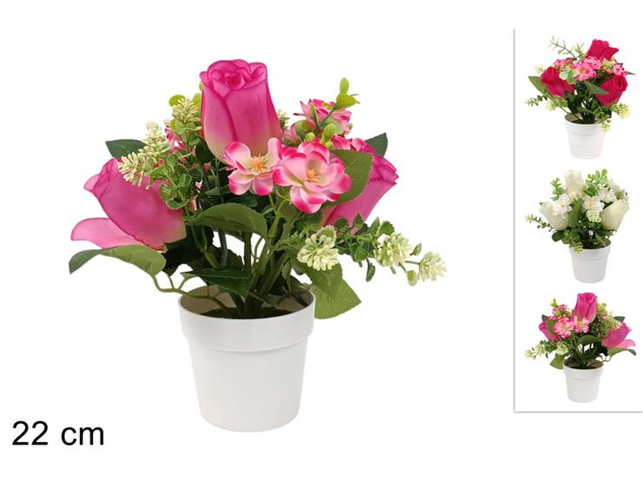 PIANTINA ROSE/ORCHIDEE CON VASO 22cm 679821 40649