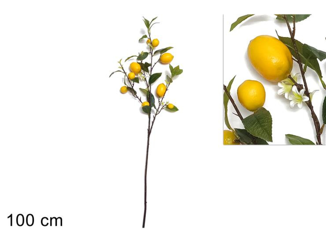 RAMO 9 LIMONI 1MT 661345 40649