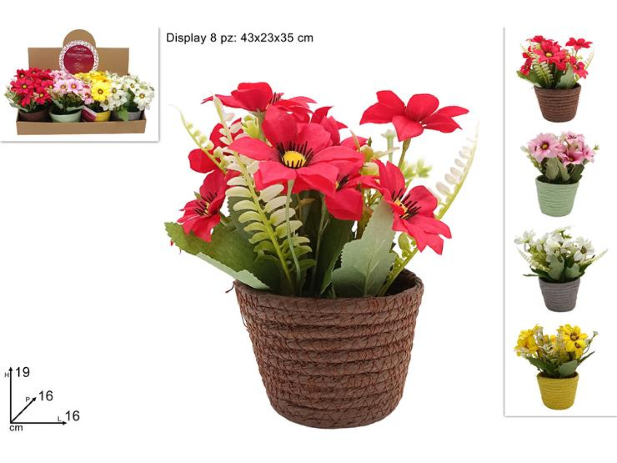 PIANTINA FIORI CON VASO CORDA 656198 40649