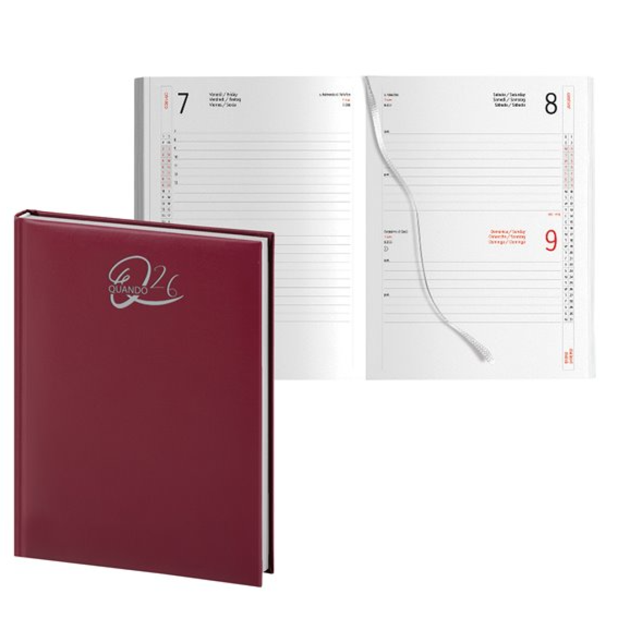 00324795 AGENDA 26 QUANDO ALLERIA 15x21cm GIORN. SDA BORDO' 53381