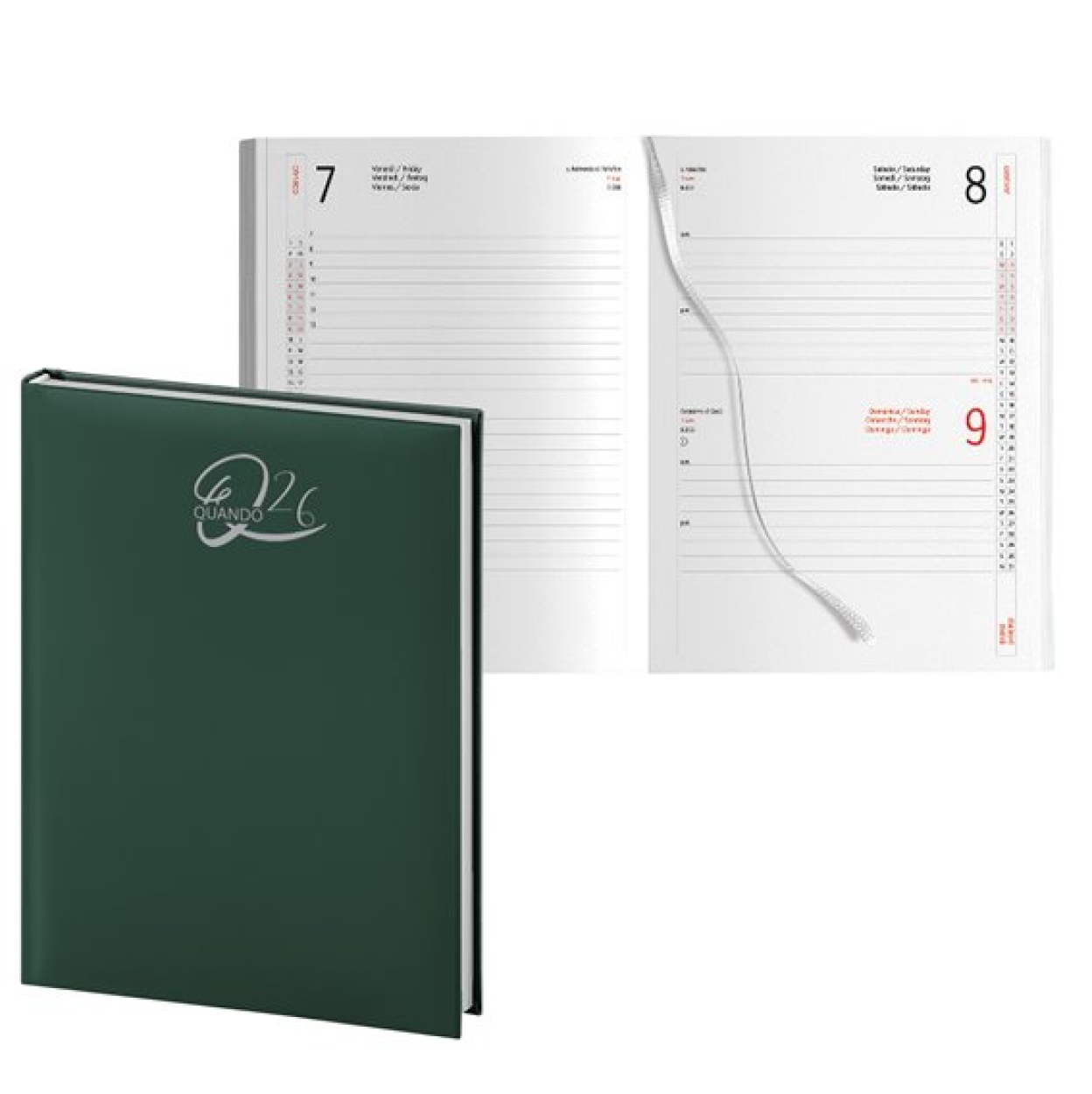 00324797 AGENDA 26 QUANDO ALLERIA 15x21cm GIORN. SDA VERDE 53381