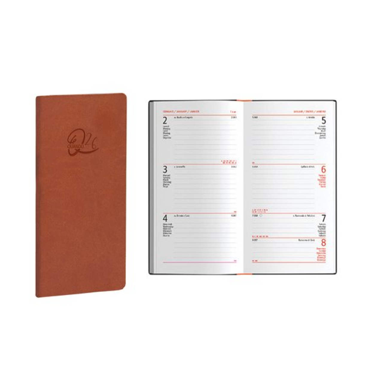 00324785 AGENDA 26 QUANDO FEMMENA 8x15cm SETTIMANALE CUOIO 53381