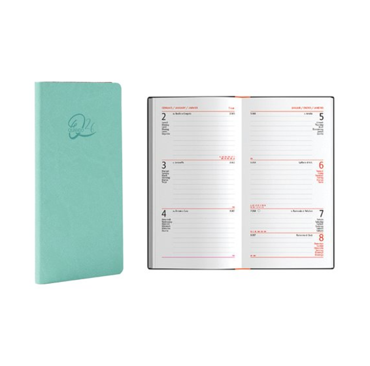 00320337 AGENDA 26 QUANDO FEMMENA 8x15cm SETTIMANALE VERDE BERILLO 53381
