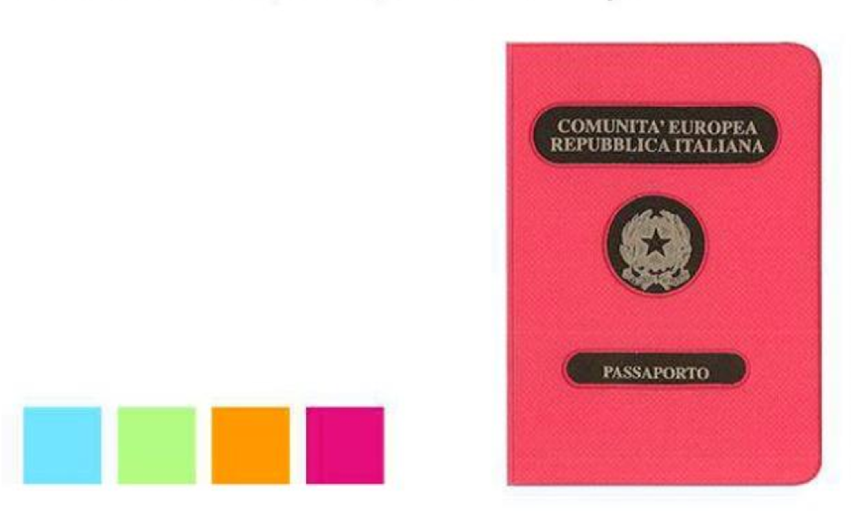 B250PO PORTAPASSAPORTO POLO 40856