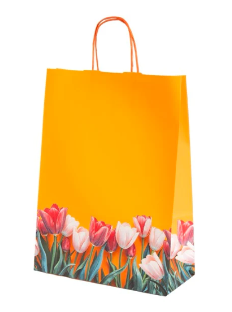 SA20A0119TULGRR SA.BI 27+12x37cm TULIPANI RITORTA 4095240952