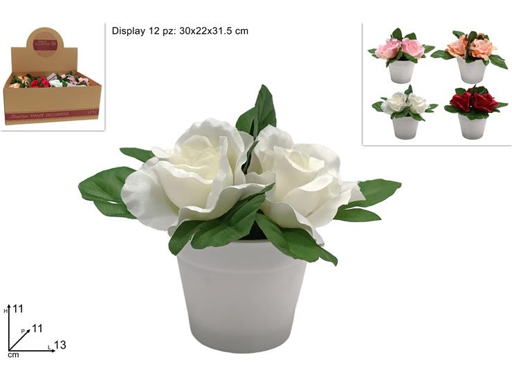 PIANTINA ROSE 659298 40842