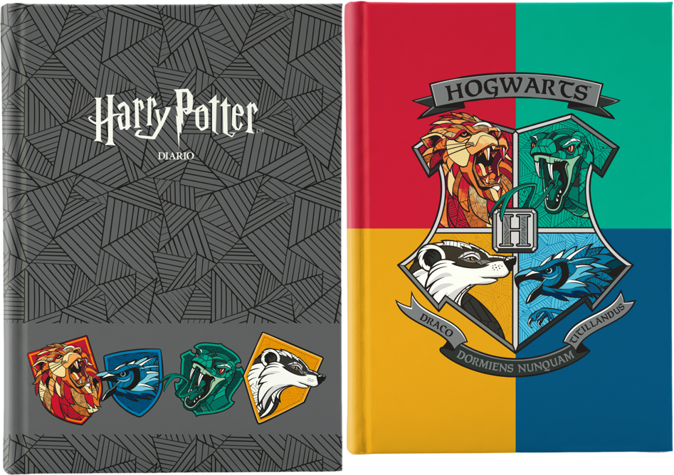 HR938000 H.POTTER 26 DIARIO TWEEN 19,5x15cm 40720