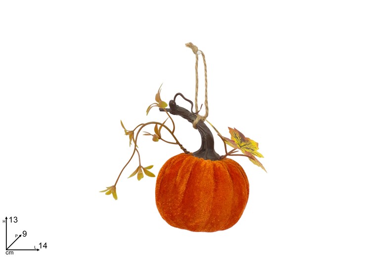 APPENDINO ZUCCA IN VELLUTO 703281 40842