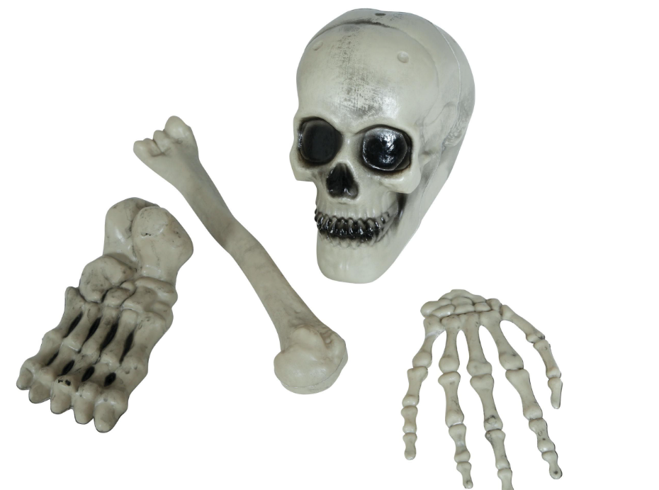 SET OSSA SCHELETRO 4pz 24932 52833