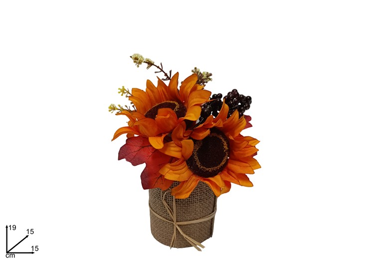 PIANTINA GIRASOLE CO VASO JUTA 619100 40842