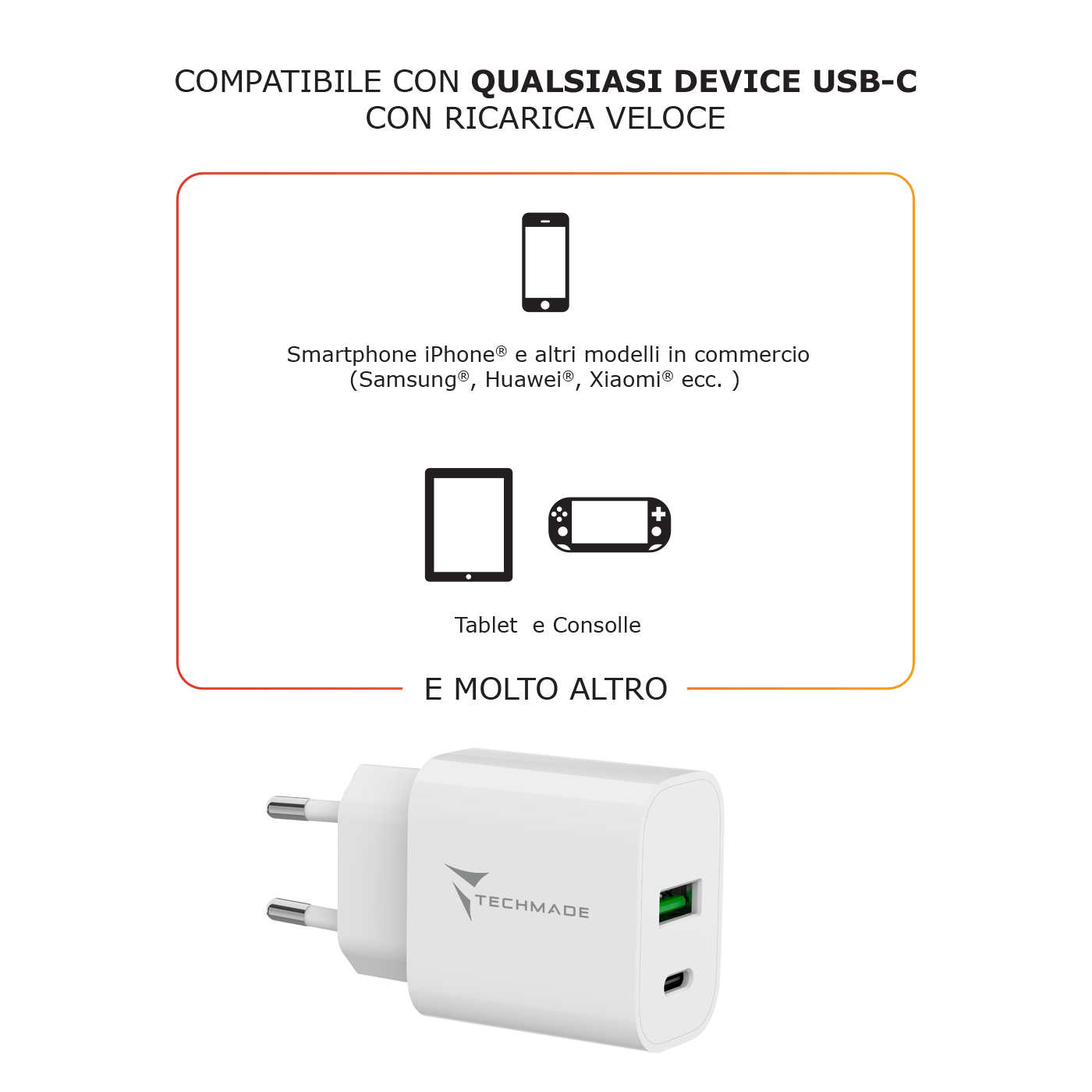 TM-389 TECHMADE CARICABATTERIE 20W CON PORTA USB-C + PORTA USB-A 41464 - Vista 2