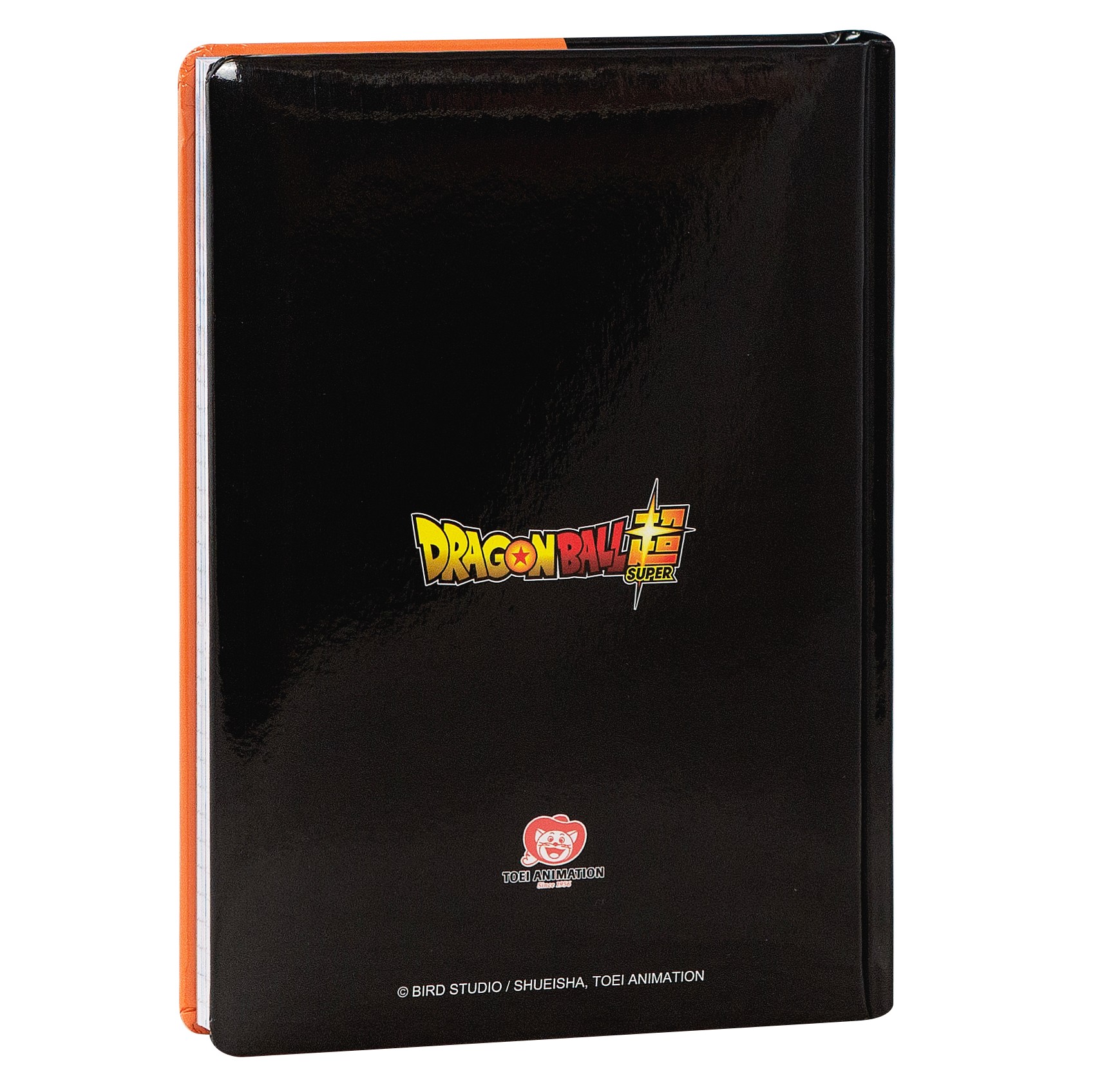 DIARIO 12MM STD ARANCIONE DBS 75350AR 41349 - Vista 3