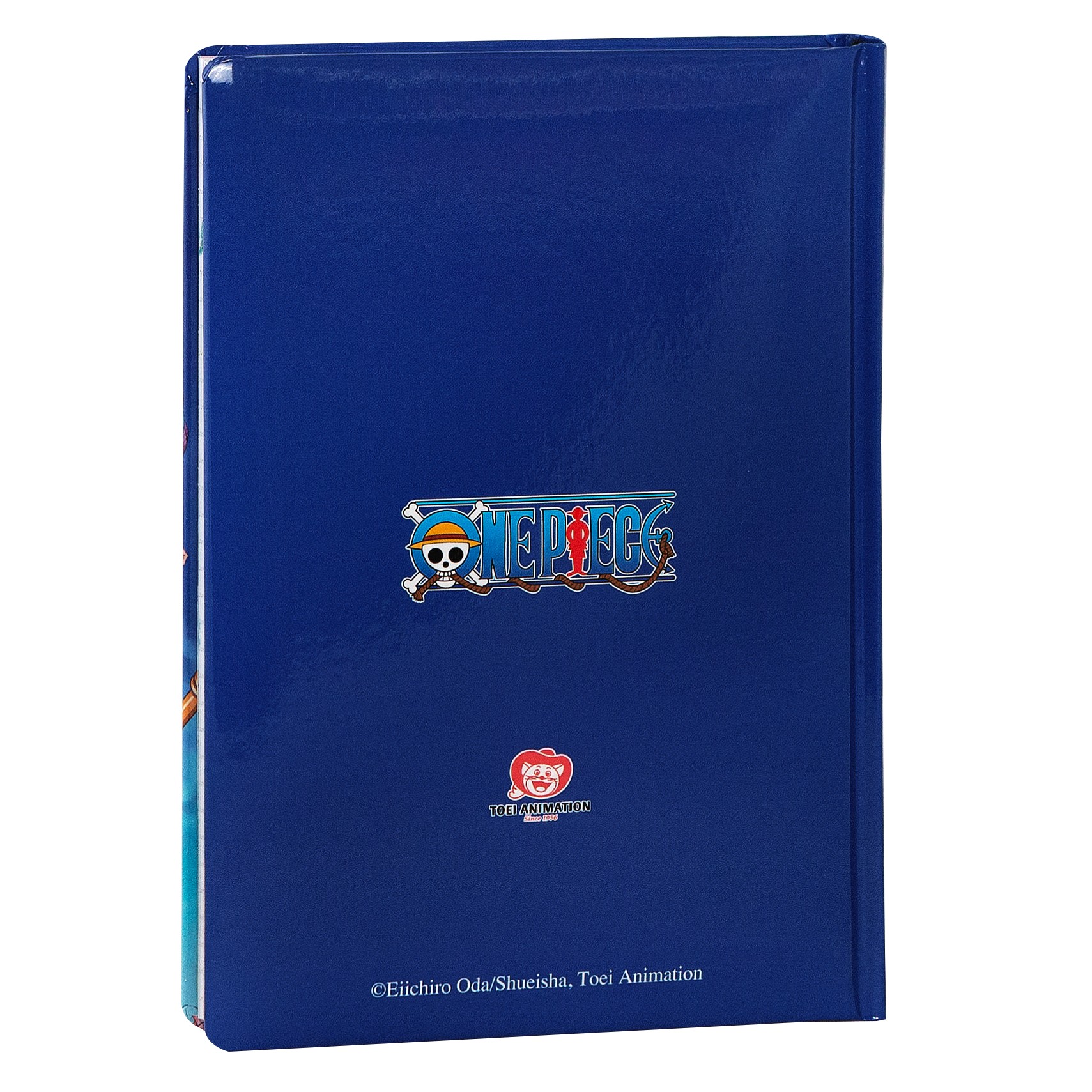 DIARIO 12MM STD BLU OP 75318BL 41349 - Vista 2